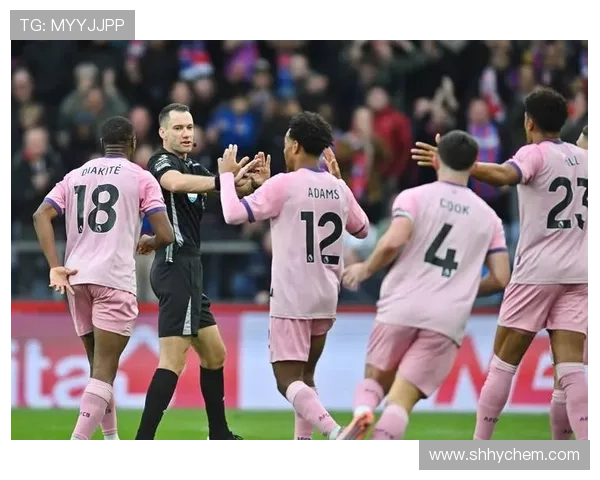 水晶宫炮轰曼联点球判罚偏袒主场