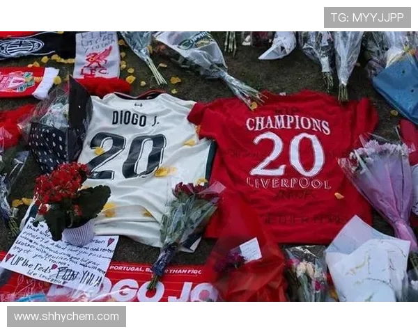 狼队红军球迷为若塔致敬 呼声响彻赛场